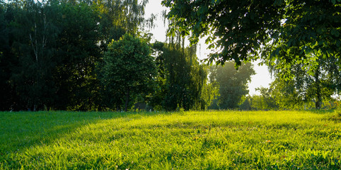 Beautiful nature of sunset landscape with sunbeam through trees and air