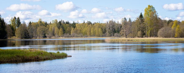 Fototapeta na wymiar Scenic view of a river landscape in spring. Farnebofjarden national park in Sweden.