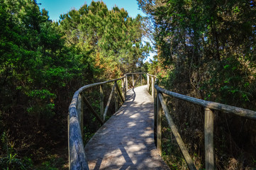 Fototapeta na wymiar Wooden pathway through the Po Delta Botanical Garden in the salt marsh at Rosolina Mare, Italy.