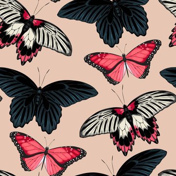 Vector pattern with high detailed black butterfly