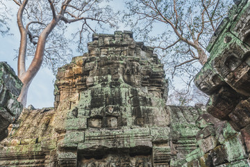 Naklejka premium Cambodia Angkor Wat Ta Prohm Temple Tomb Raider Tree Roots Ruins. Angkor Temples Ta Prohm. Siem Reap, Cambodia 