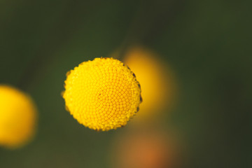 Geometrie © paolarigonelli