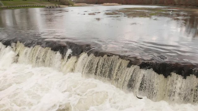 Epic jumping vimba fish at Venta rapid falls Latvia in slow motion