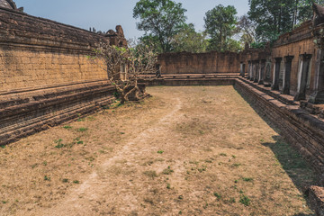 Fototapeta na wymiar Ancient Angkor Wat Ruins Panorama. Banteay Srei Temple. Siem Reap, Cambodia 