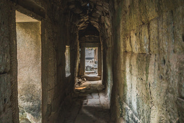Fototapeta na wymiar Medium shot of Ruins Of Abandon Temple - Angkor Wat. Angkor Temples Ta Prohm. Siem Reap, Cambodia 