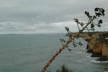 Fuerza del viento