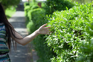 Fototapeta na wymiar woman touching green grass in street