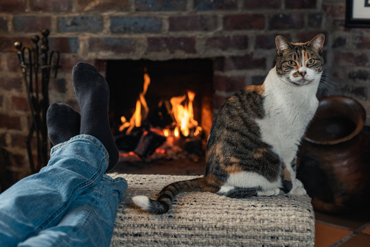 .person rested in front of the fireplace with his cat