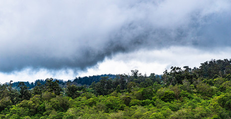 Fototapeta na wymiar Upcountry Maui Landscape