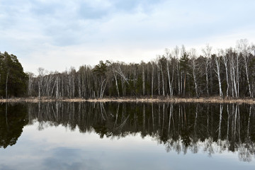 Nature of forests and lakes on the coastline. Reflection of the forest on the water surface. Beautiful landscape of the forest area by the water