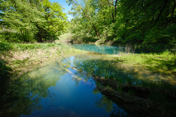 Fototapeta na wymiar Rakov skocjan regional park with river Rak and unspoiled green nature