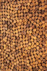 Rondins de bois harmonieusement rangés