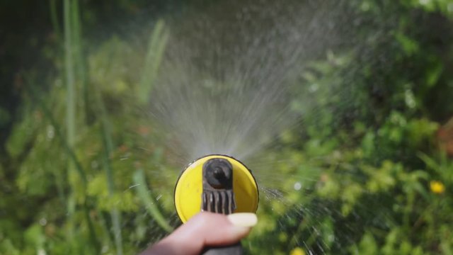 Sprinkles water with a spray gun. Watering the garden.