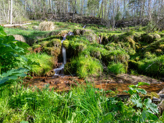 spring river waterfall,  stones, green moss and spring trees, David's sources, Latvia
