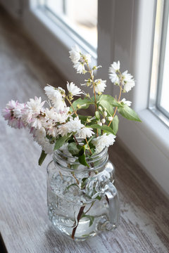 Beautiful branch with white flowers in a transparent vintage jug on the windowsill