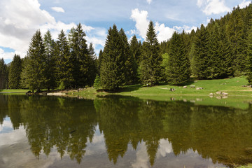 Fototapeta na wymiar lago di montagna foresta riflessi 