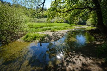 Rakov skocjan regional park with river Rak and unspoiled green nature