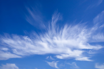 Blue sunny summer sky, feather-shaped clouds, atmospheric phenomenon.
