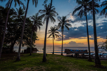 Obraz premium Sunset with palms in Lombok island in Indonesia