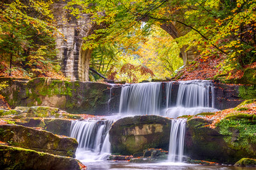 River Waterfall in the Forest and Arch of a Stone Bridge