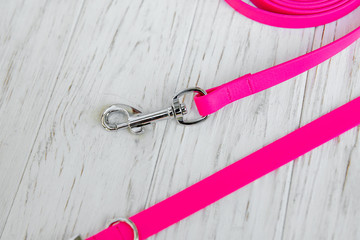 Dog Collar and Leash set. Pet Supplies and Walking Gear Collection
