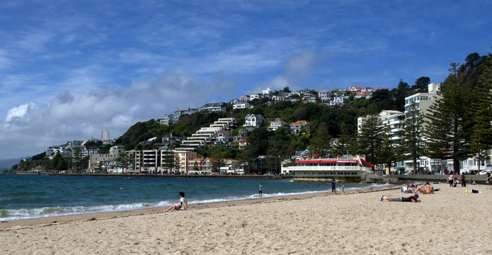 Oriental Bay and Harbour in a sunny day.
