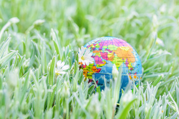 Earth globe on the grass. Save the nature. Enviroment. April 22 earth day theme. Summer day, concept of ecology and saving the planet.