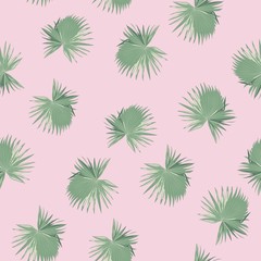 Tropical seamless pattern with exotic palm leaves. Pink background.