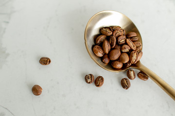 coffee beans on a light background