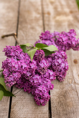 Fototapeta premium Lilac on a wooden bench
