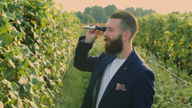 Man on vineyard with special instrument. Side view of elegant bearded man using refractometer standing on green vineyard and checking sugar of grapes
