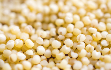 Macro shot of millet seeds