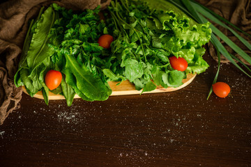 Vegetables. Salad. Healthy food