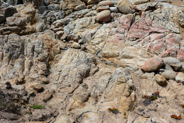 17 Mile Drive, California, USA