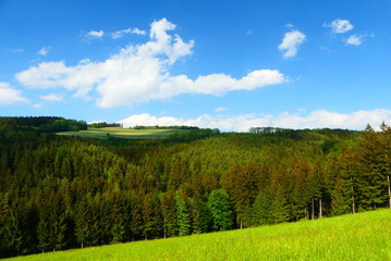 Fototapeta na wymiar Felder und Wälder