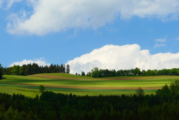 Naklejka premium Wiesen und Felder