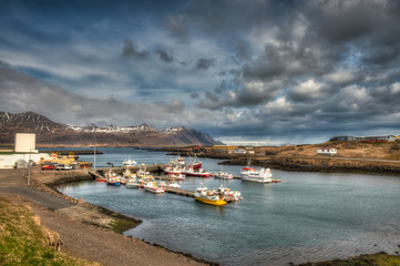 Naklejka na ściany i meble The pretty fishing village of Djupivogur in eastern Iceland