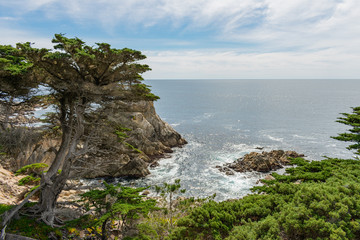 17 Mile Drive, California, USA