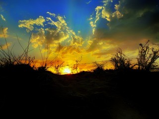 Naklejka premium sunset in the desurt Rajasthan