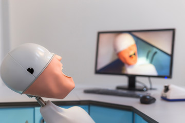 Phantom head model used by dentistry students