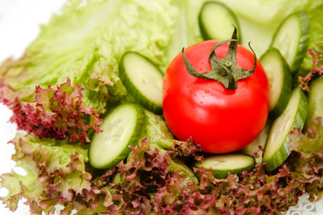 close-up of fresh vegetables ripe. Tomatoes, sliced cucumbers lie on the leaves of green lettuce.Vegetable salad.