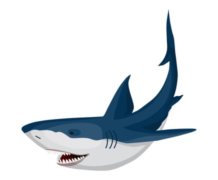 Shark. Big dangerous marine predator. Toothy swimming angry shark. Underwater character of sea animal. Vector illustration of Marine wildlife