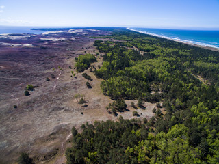 Fototapeta na wymiar Aerial view with dunes, forest and sea in Curonian spit on a sunny day photographed with a drone. The Curonian Spit lagoon. Gray Dunes, Dead Dunes. 