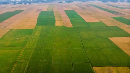 Aerial or Bird's eye view of freshly harvested wheat field in the flat lands of Nepal