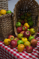 Apple, red, yellow and green in basket
