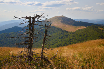 Bieszczady