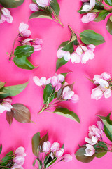 White pink flowers on a bright pink background. The concept of spring, summer, flowering, holiday, celebration. Image for banner, postcards. Copyspace.
