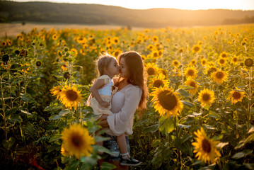 Beautiful mother and daughter walk and hug in a sunflower field in summer