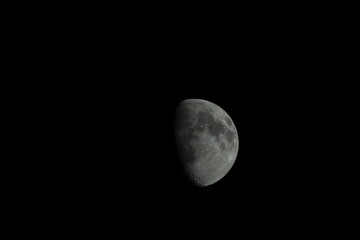 Mond