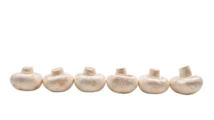 Champignon mushroom isolated on white background.